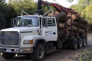 1994 Ford L9000  Truck-Log